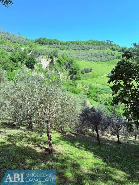 fotografie - Rustico / Casale Brisighella (RA)  
