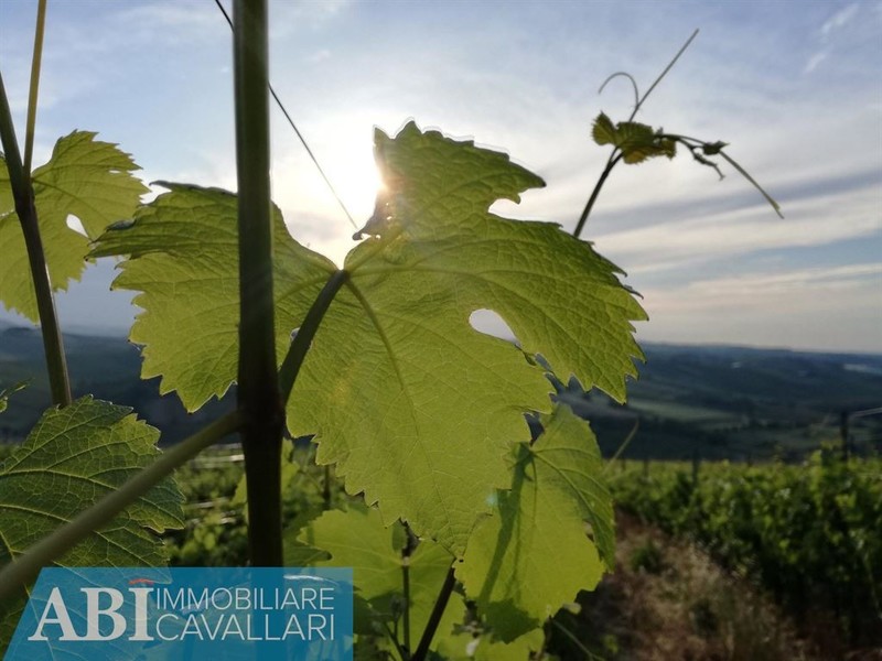 fotografie - Immobile Commerciale Brisighella (RA)  