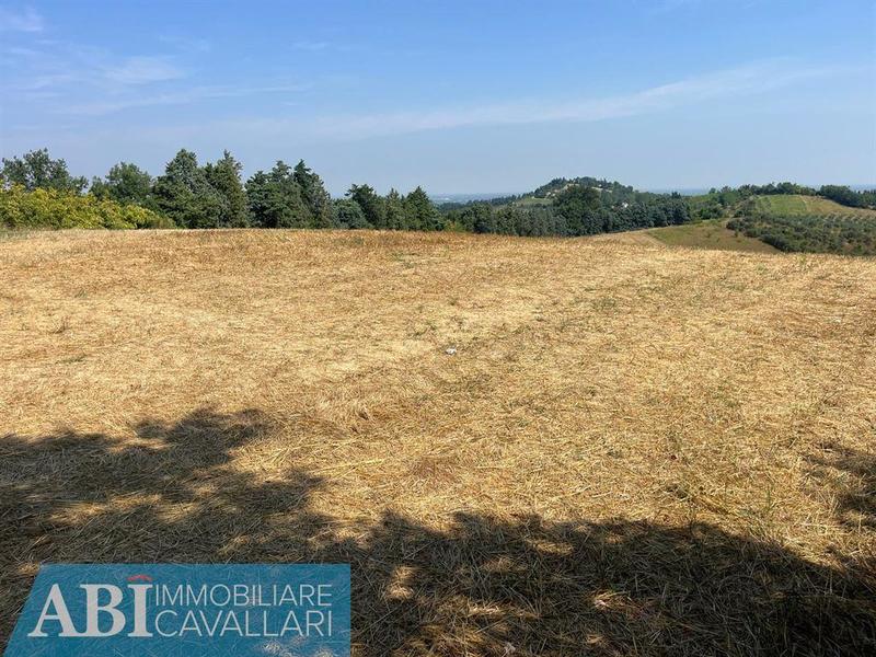 fotografie - terreno agricolo Brisighella (RA)  