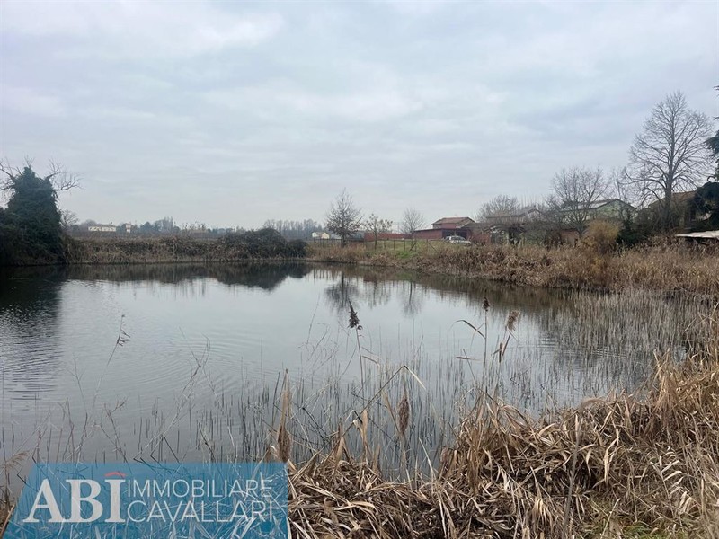 fotografie - terreno agricolo Conselice (RA) Lavezzola 