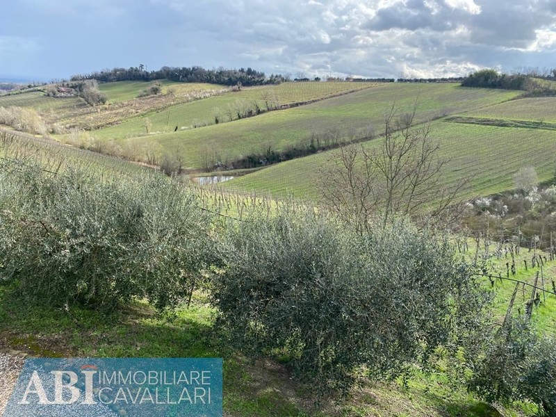 fotografie - terreno agricolo Brisighella (RA)  