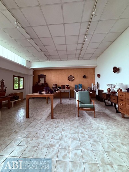 fotografie - laboratorio Faenza (RA)  