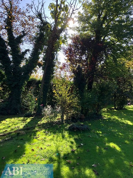 fotografie - Villa Bagnacavallo (RA)  