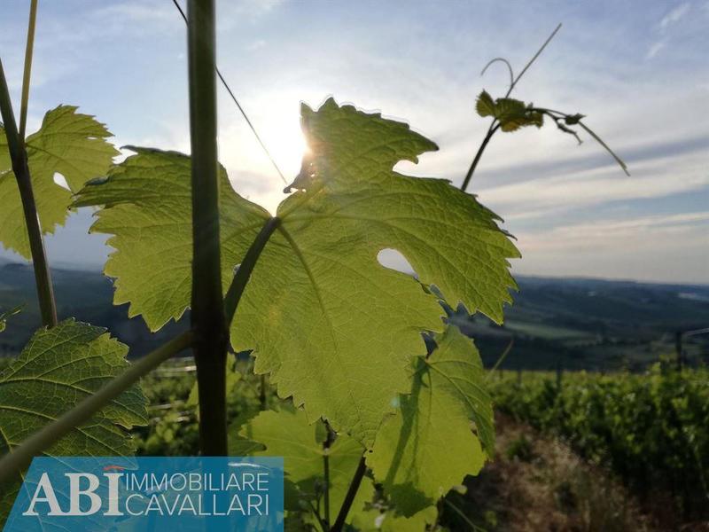 fotografie - Immobile Commerciale Brisighella (RA)  