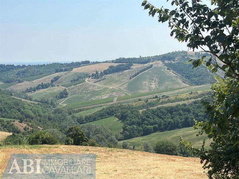 fotografie - terreno agricolo Brisighella (RA)  