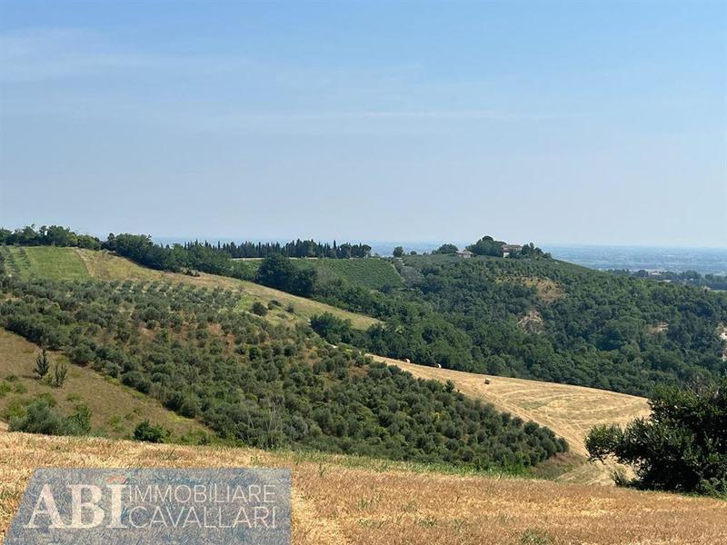 fotografie - terreno agricolo Brisighella (RA)  