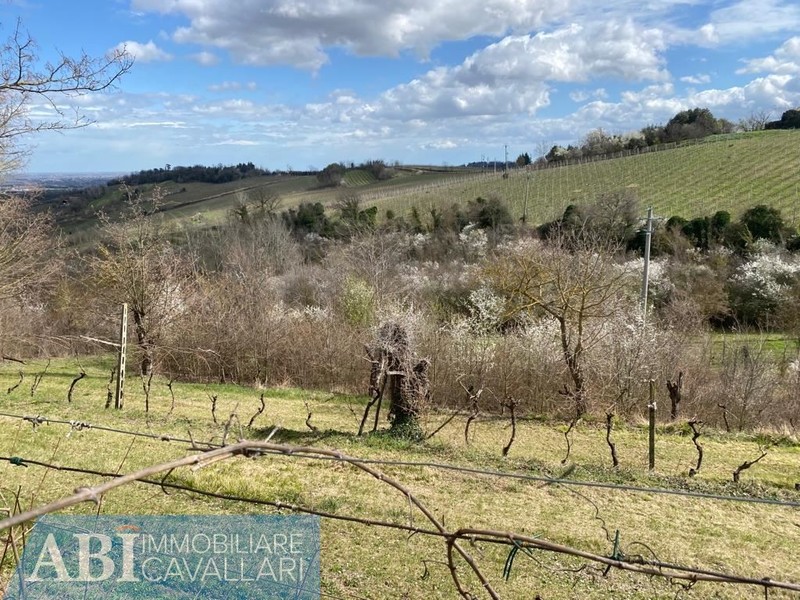 fotografie - terreno agricolo Brisighella (RA)  