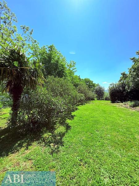 fotografie - Rustico / Casale Brisighella (RA)  