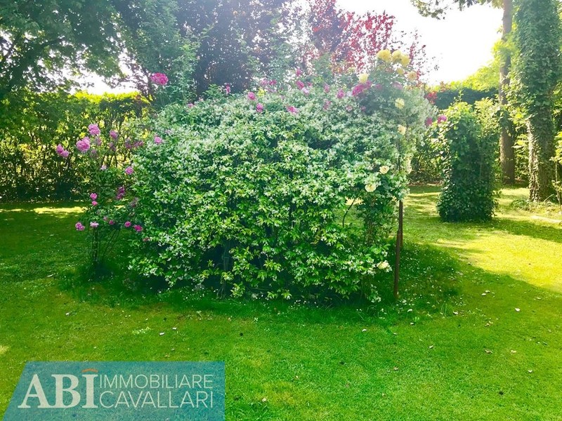 fotografie - Villa Bagnacavallo (RA)  