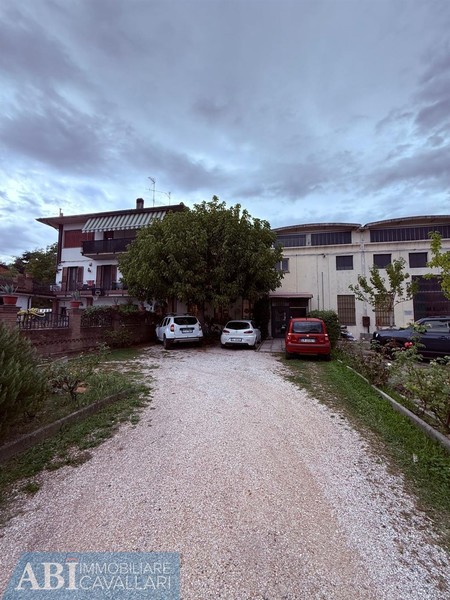 fotografie - laboratorio Faenza (RA)  