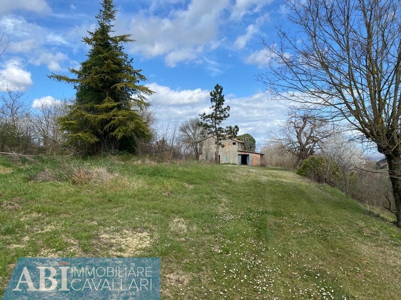 fotografie - terreno agricolo Brisighella (RA)  