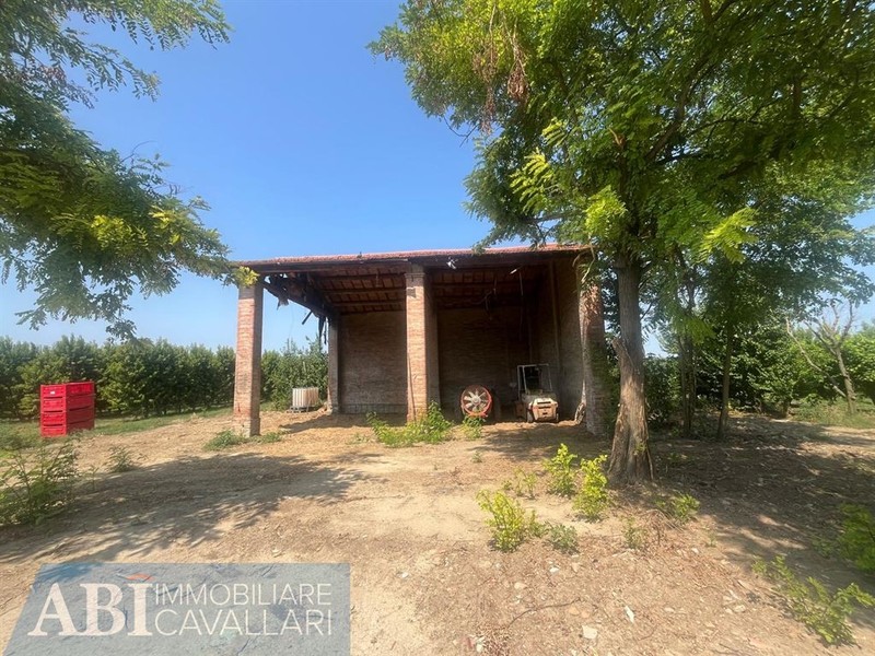 fotografie - Rustico / Casale Faenza (RA)  