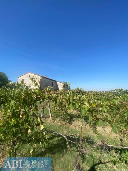 fotografie - Casa Indipendente Faenza (RA)  