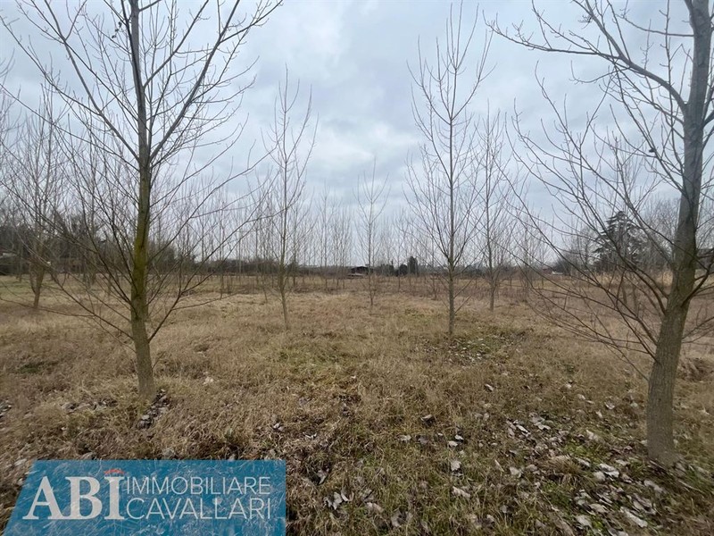 fotografie - terreno agricolo Conselice (RA) Lavezzola 