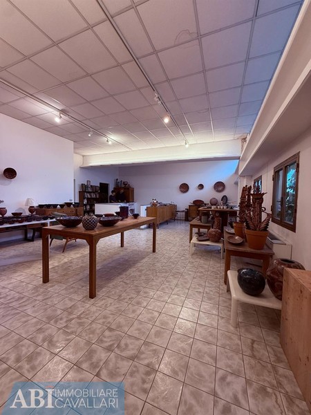 fotografie - laboratorio Faenza (RA)  