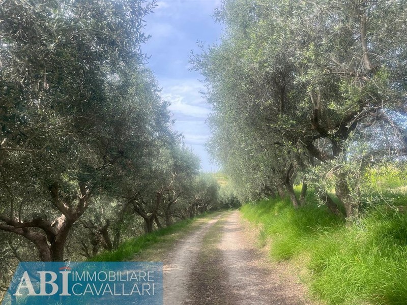 fotografie - Casa Indipendente Brisighella (RA)  