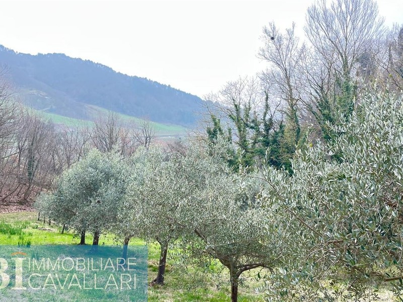 fotografie - Rustico / Casale Casola Valsenio (RA)  