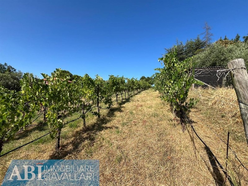 fotografie - Casa Indipendente Brisighella (RA)  