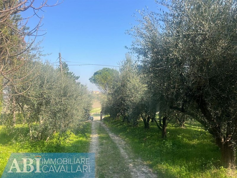 fotografie - Casa Indipendente Faenza (RA)  