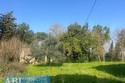 Casa Indipendente Faenza (RA)  