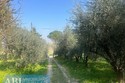 Casa Indipendente Faenza (RA)  