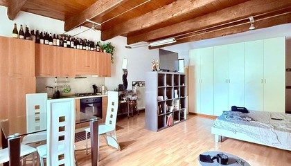 appartamento Faenza (RA) 