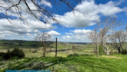 terreno agricolo Brisighella (RA) 