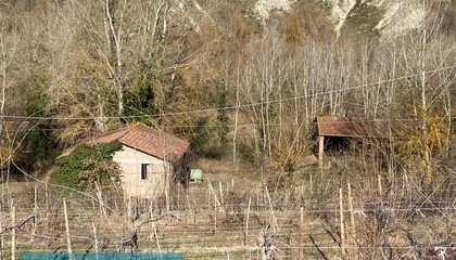 terreno agricolo Brisighella (RA) 