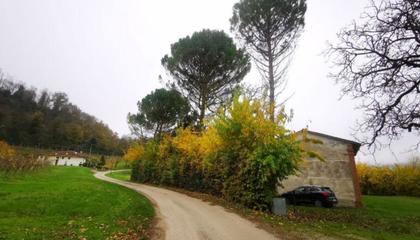 Complesso Misto Casola Valsenio (RA) 