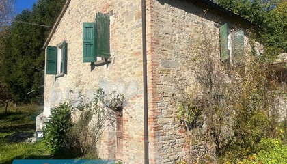 Rustico / Casale Marradi (FI) Abeto