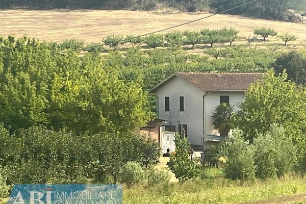 affitto terreno agricolo