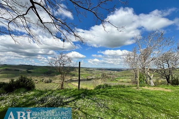 vendita terreno agricolo