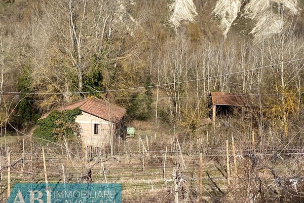 affitto terreno agricolo