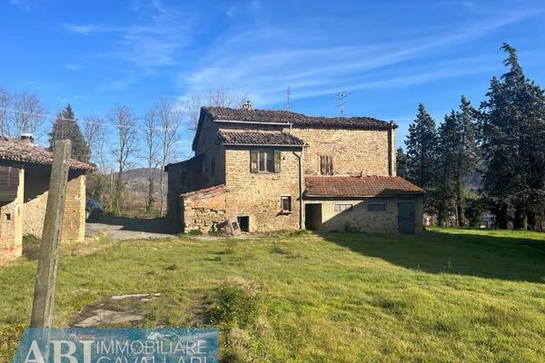 vendita rustico / casale