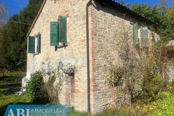 vendita rustico / casale